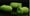 Image of ETFF Frog Kit