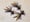 Image of Clawdad Tails