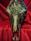 Image 1 of "Phantom Pain"