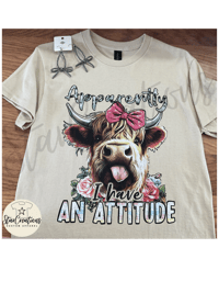 Apparently I have an Attitude