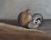 Image of Oignon et champignons