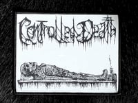 Image 1 of CONTROLLED DEATH Woven Patch