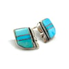 Turquoise Wing Earrings