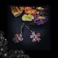 Image 4 of ☽ Primula Lava ☾