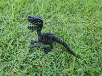 Image 6 of Skeleton Raptor 