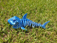 Image 1 of Skeleton Shark
