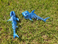 Image 2 of Skeleton Shark