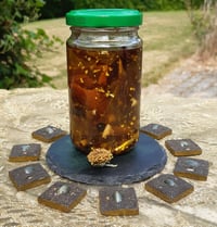 Image 2 of Regulus Oil