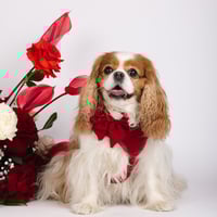 Image 3 of LOVE LUX WALKWEAR SET - ROUGE