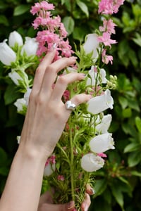Image 1 of Pinky Coeur