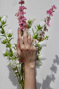 Image 3 of Pinky Coeur