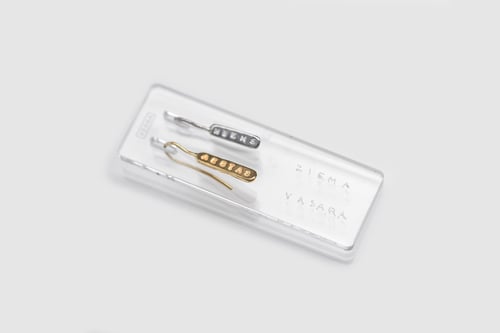 Image of Plain light silver earrings with gilding and without with inscription in Latin