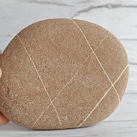 Image 1 of Banded sea stone