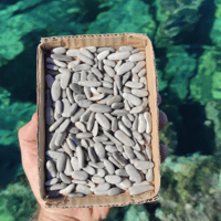 Image 1 of Beach pebbles