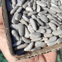 Image 3 of Beach pebbles