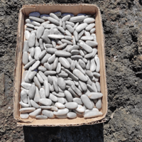 Image 2 of Beach pebbles