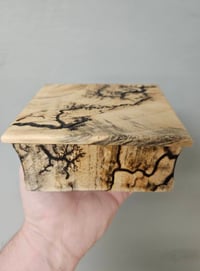 Image 1 of Lichtenberg wood burn