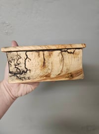 Image 2 of Lichtenberg wood burn