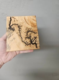 Image 3 of Lichtenberg wood burn