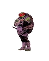 Image 5 of TMNT Stickers