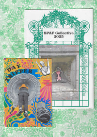 Image 5 of DAYTRIPPER ZINE