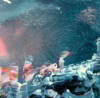 Image 4 of GLOW