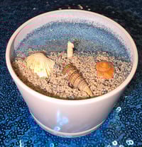 Image 2 of Ocean's Oasis 