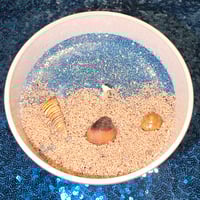 Image 4 of Ocean's Oasis 