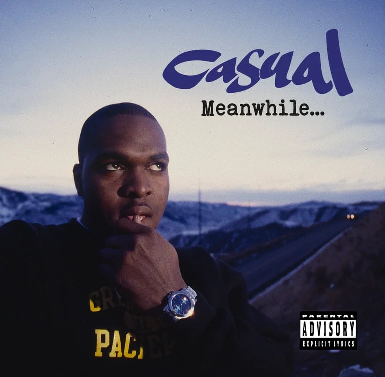 Image of CASUAL - MEANWHILE (CD + VINYL SET)