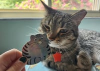 Image 4 of CAT STICKERS 