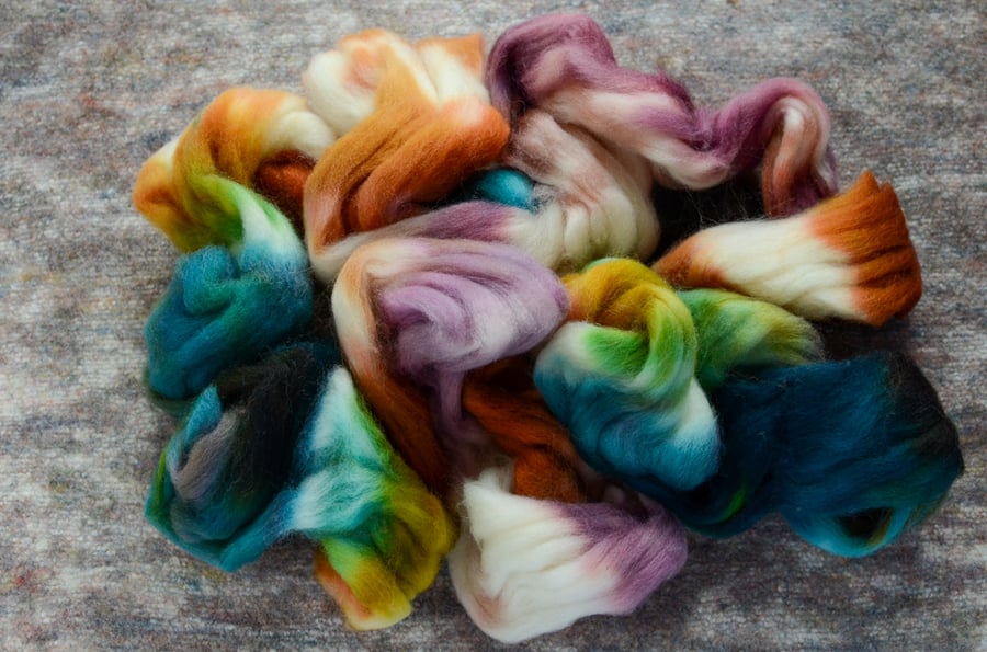Image of "Pure Chaos" Hand-dyed Bluefaced Leicester Wool Spinning Fiber - 4 oz.