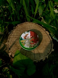Image 1 of Red Pine Pitch Skincare Salve