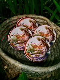 Image 1 of Witch’s Calendula & Dandelion Triple Butter Skincare Salve