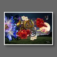 Image 2 of 'Red Fish, Big Moon'