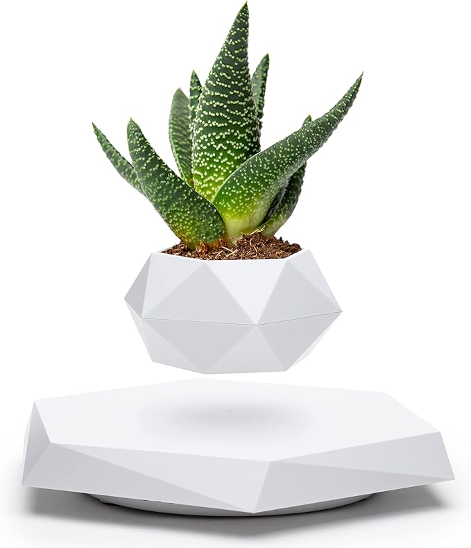 Image of Levitating Plant Pot – Modern Floating Design