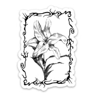 Image 1 of b & w stickers