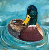 Image 2 of "Mallard Duck Study" Print 