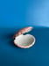 Image of Pink Shell Ring Dish (Porcerlain)