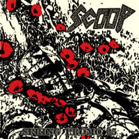 Image 5 of SCOOP - Spring Promo '25