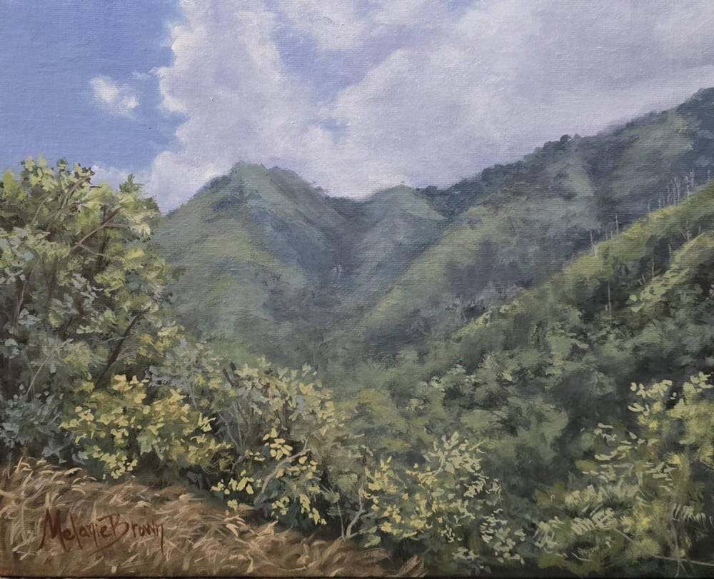 Image of "Smokies" 