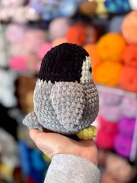 Image 3 of Penguin 