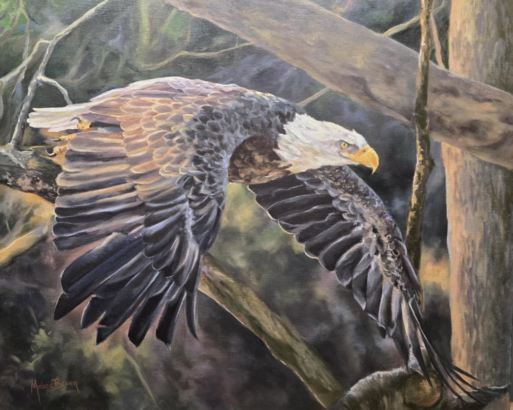 Image of "Mid-Flight"