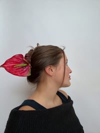 Image 3 of red anthurium claw