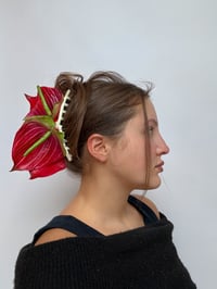 Image 2 of xl anthurium claw