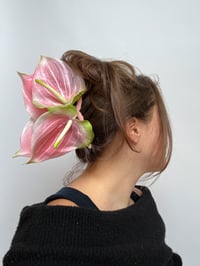 Image 2 of xl pink anthurium claw