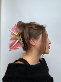 Image 3 of xl pink anthurium claw