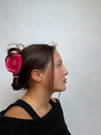 Image 2 of pink ranunculus claw