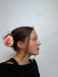 Image 2 of raspberry ranunculus claw