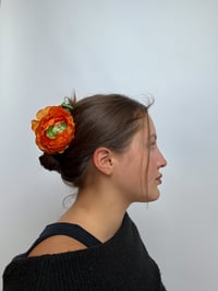 Image 2 of orange ranunculus claw