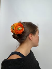 Image 3 of orange ranunculus claw